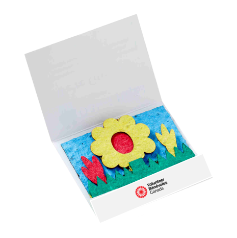 Wildflower Scene Seed Paper l Feuilles de semences de fleurs sauvages